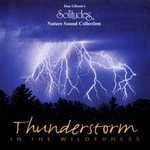 Dan-Gibson-Thunderstorm-in-the-wilderness