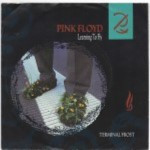 Pink-Floyd-Learning-to-fly