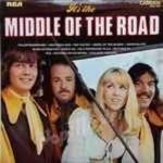 Middle-of-the-road-In-the-middle-of-the-road
