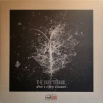 Vain-Travail-the-After-a-silent-disaster